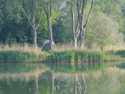 Competities HSV Alfheim